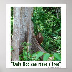 Poster Dieu seul peut faire un arbre et la faune