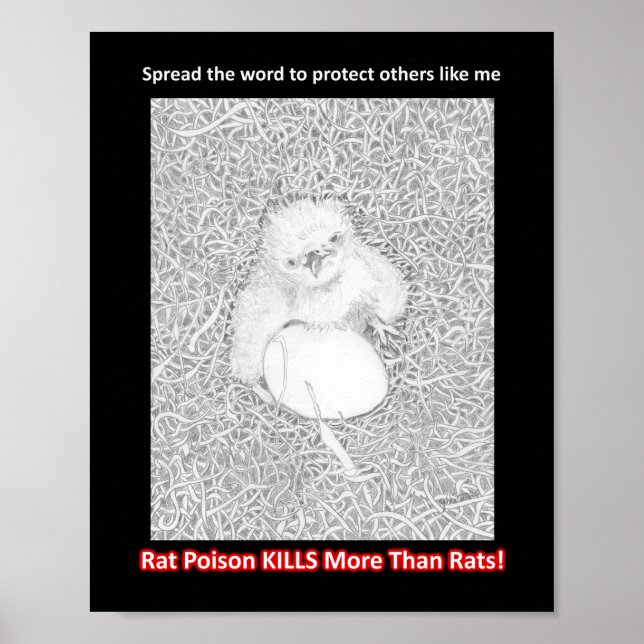 POSTER DIFFUSER LE MOT RAT POISON KILLS AIDER LA FAUNE (Devant)