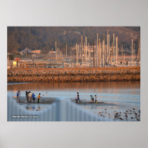 Poster Digging for Clams