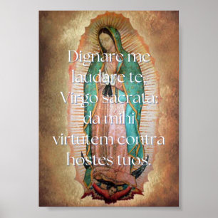 Poster Dignare me Imprimer