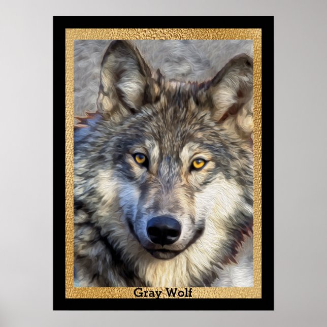 Poster Dignité du loup gris (Devant)