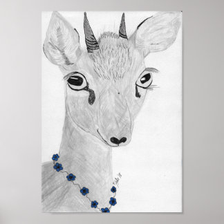 Poster Dik- Dik