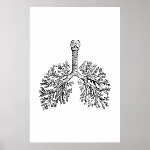 Poster d'illustration d'anatomie des poumons