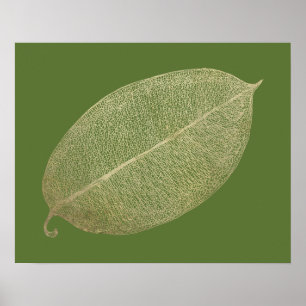 Poster d'illustration de la grille de feuille d'or