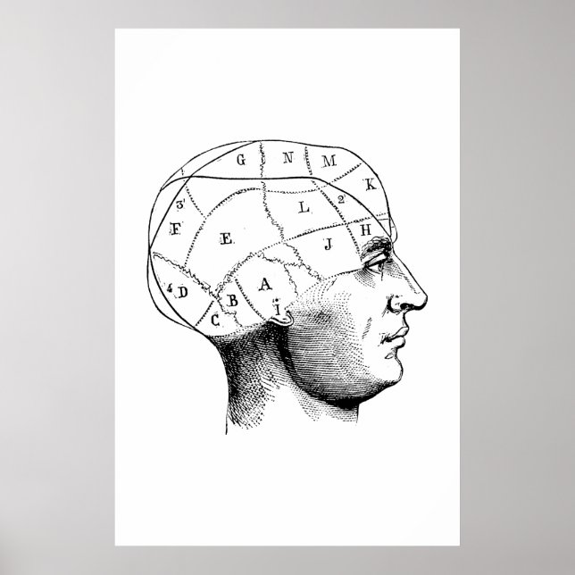Poster d'illustration de l'anatomie de tête (Devant)