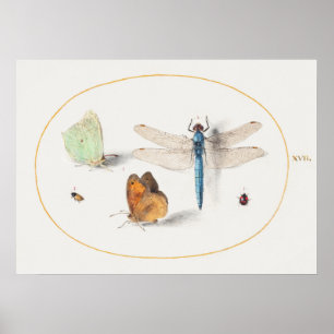 Poster d'illustration de libellules