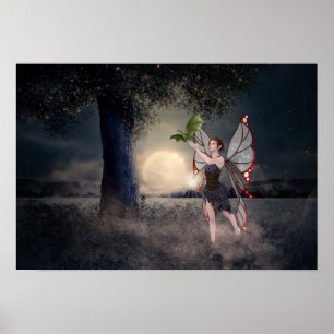 Poster d'Imaginaire Fairy & Dragon