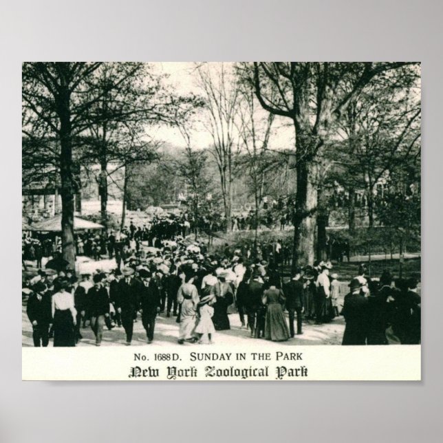 Poster Dimanche au Bronx Zoo Vintage (Devant)