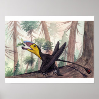 Poster Dimorphodon