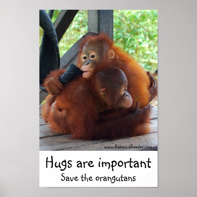 Poster D'importants carottes inspirantes (Devant)