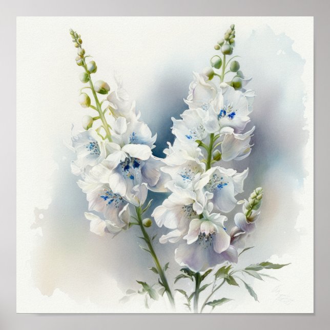 Poster d'impression blanc en Delphinium (Devant)