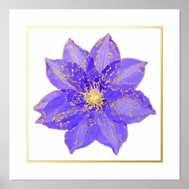 Poster d'impression Clematis Foil Accent (Recto)