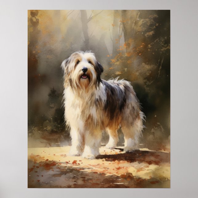 Poster d'impression Collie Dog Art (Devant)
