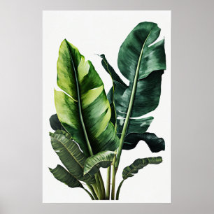 Poster d'impression d'art Feuille Banana