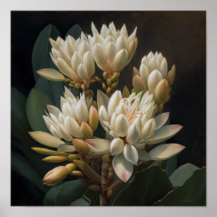Poster d'impression d'art floral blanc Curcuma