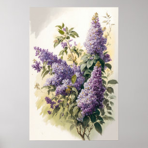 Poster d'impression d'art Lilac Fleurs
