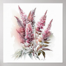 Poster d'impression d'Art rose Astilbe