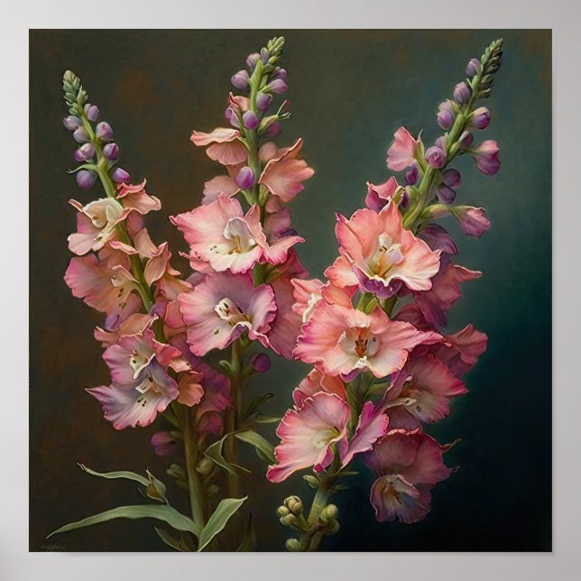 Poster d'impression d'Art rose Delphinium (Devant)