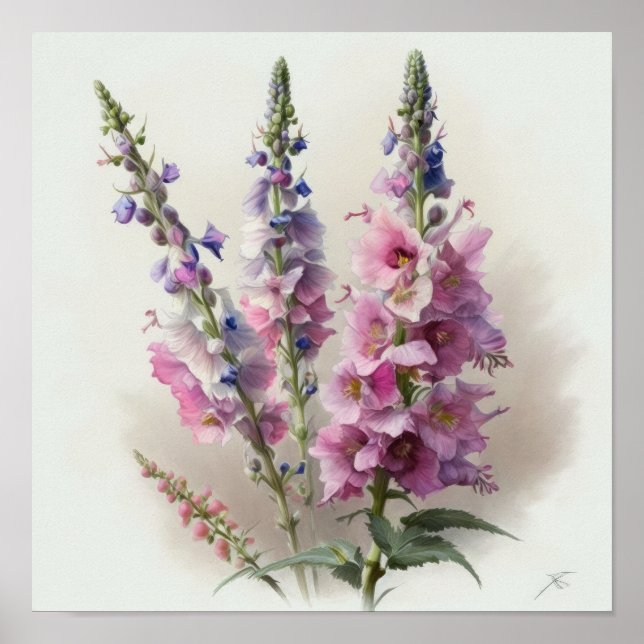 Poster d'impression d'Art rose Delphinium (Devant)