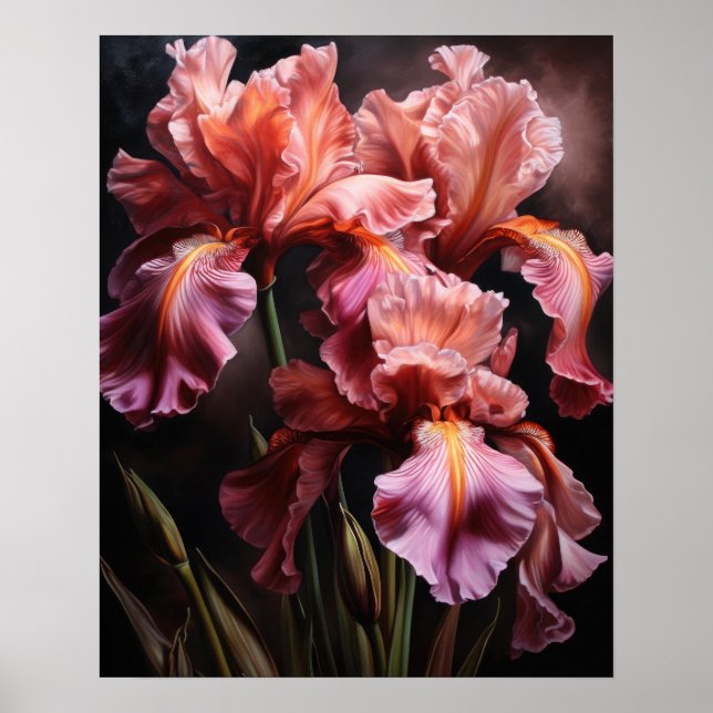 Poster d'impression d'art rose Iris (Devant)