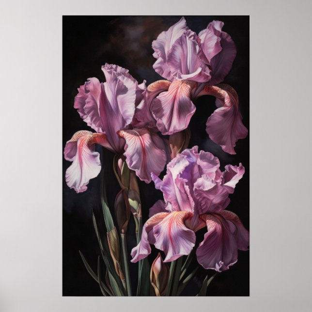 Poster d'impression d'art rose Irises (Devant)