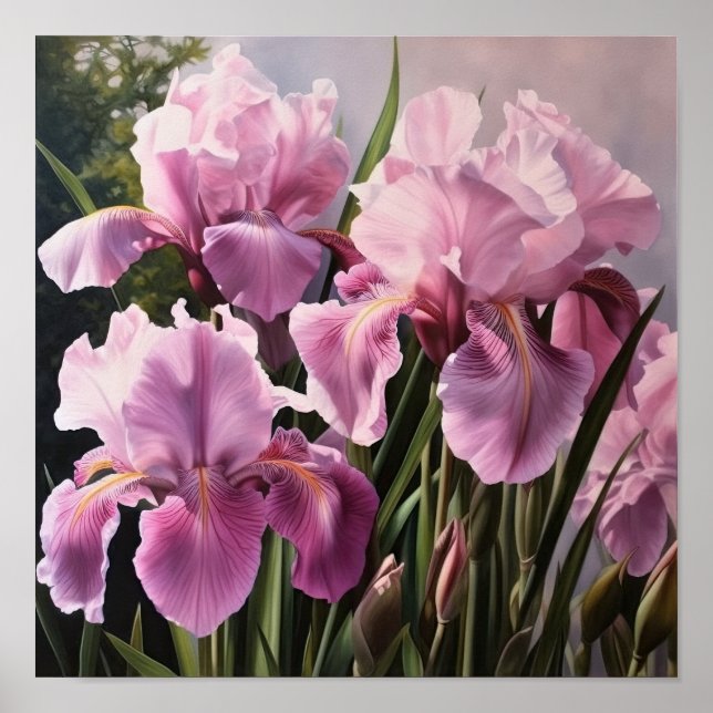 Poster d'impression d'art rose Irises (Devant)