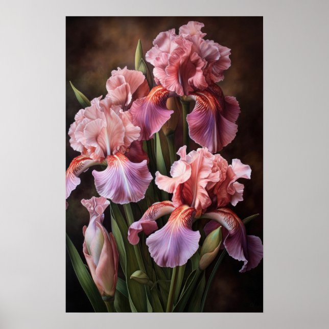 Poster d'impression d'art rose Irises (Devant)