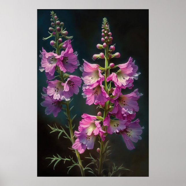 Poster d'impression d'art rose Larkspur (Devant)