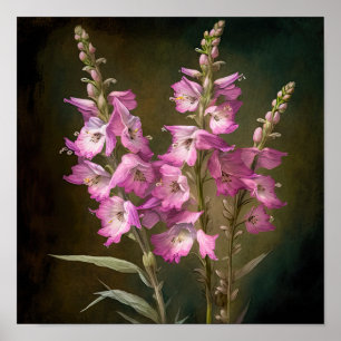 Poster d'impression d'art rose Larkspur