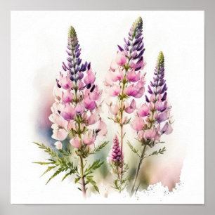 Poster d'impression d'art rose Lupine