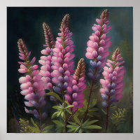 Poster d'impression d'art rose Lupine