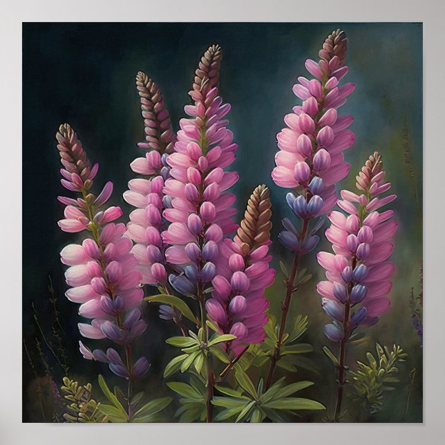 Poster d'impression d'art rose Lupine (Devant)