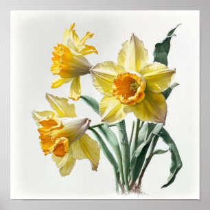 Poster d'impression de jonquilles jaunes