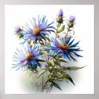 Poster d'impression de l'affiche d'Aster bleu
