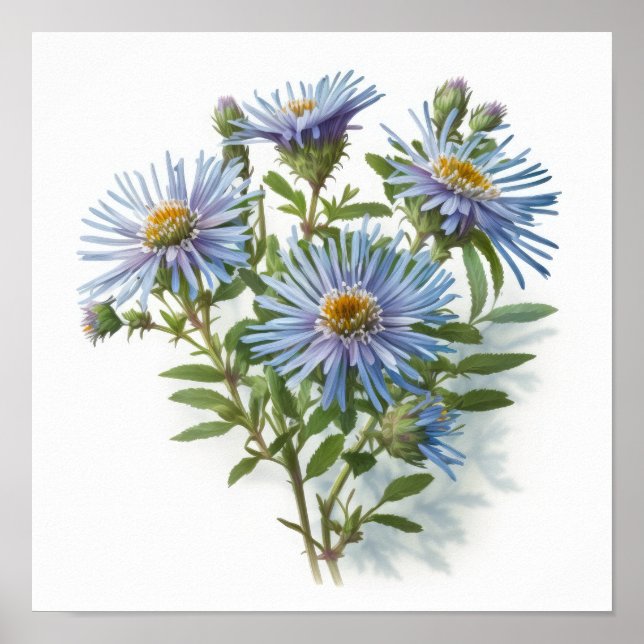Poster d'impression de l'affiche d'Aster bleu (Devant)