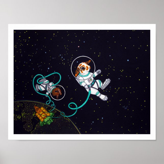 Poster d'impression de lapins d'espace (Devant)