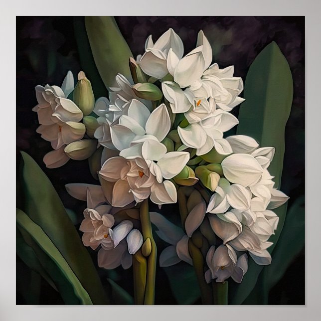 Poster d'impression de l'art à la floraison blanch (Devant)