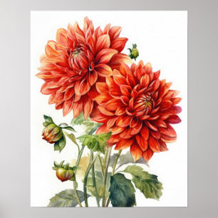 Poster d'impression de l'art Dahlia Rouge