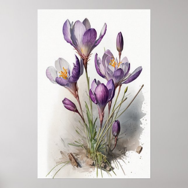 Poster d'impression de l'art de fleurs de crocus v (Devant)