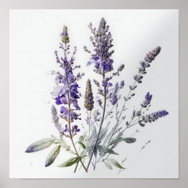 Poster d'impression de l'art de fleurs de lavande  (Devant)