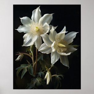 Poster d'impression de l'art de la colonne blanche
