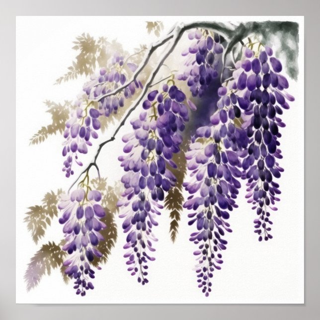 Poster d'impression de l'art de la glycine violett (Devant)