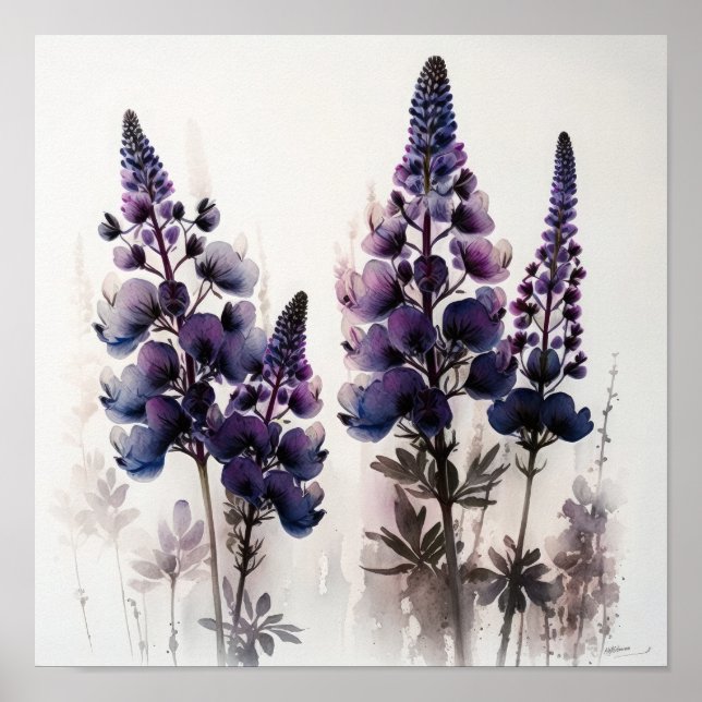 Poster d'impression de l'art de la lupine violette (Devant)
