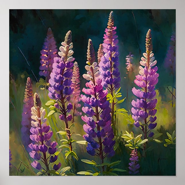 Poster d'impression de l'art de la lupine violette (Devant)