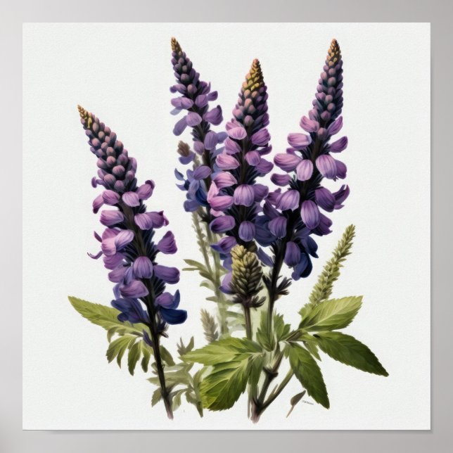 Poster d'impression de l'art de la lupine violette (Devant)