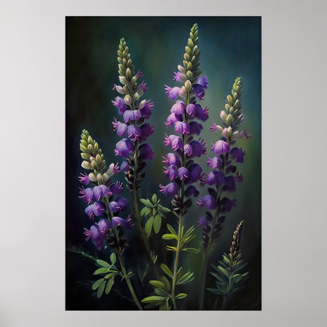 Poster d'impression de l'art de la lupine violette (Devant)