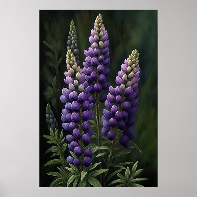 Poster d'impression de l'art de la lupine violette (Devant)