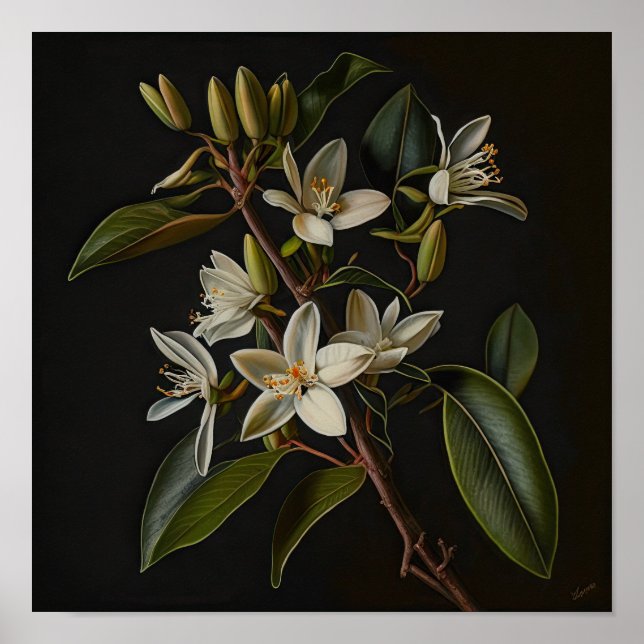 Poster d'impression de l'art de la vanille blanche (Devant)