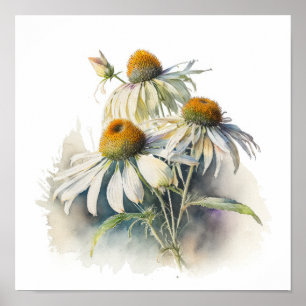 Poster d'impression de l'art des Confleurs blancs