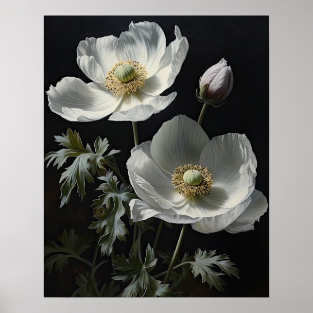 Poster d'impression de l'art des fleurs d'anémones (Devant)